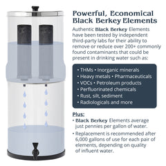 Black Berkey® Filter set